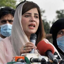 درخت لگانے والے اسٹوڈنٹس کو اضافی 20 نمبر دیئے جائیں گے، زرتاج گل